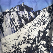 Supreme x The North Face jakke (Str. M)