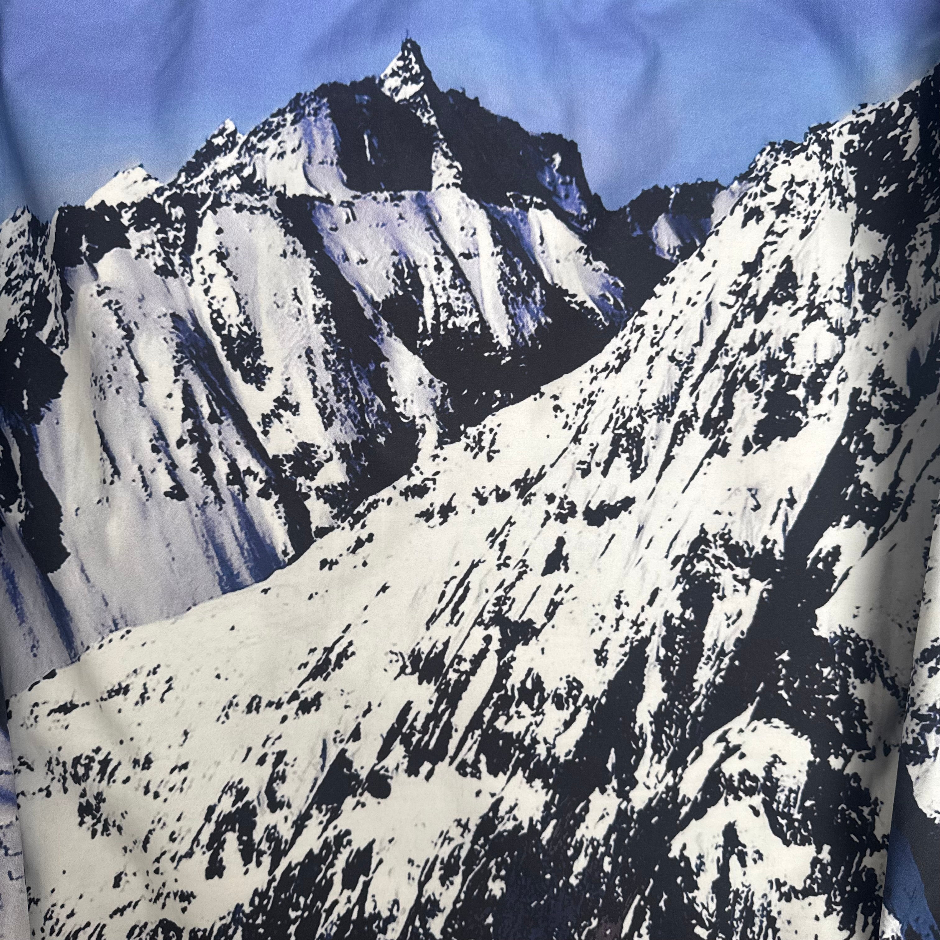 Supreme x The North Face jakke (Str. M)