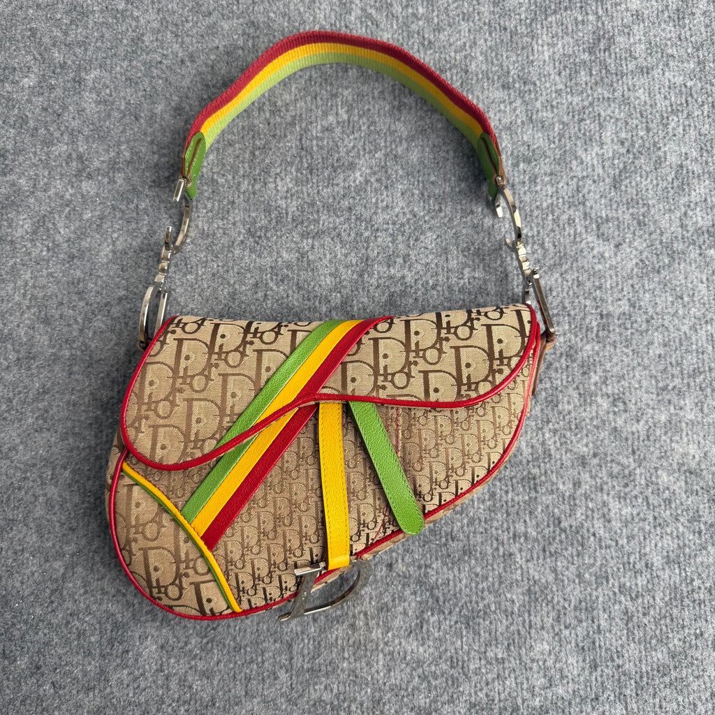 Dior Rasta Saddle taske