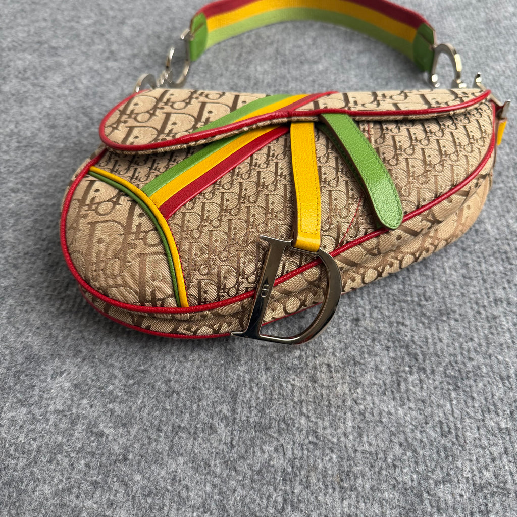 Dior Rasta Saddle taske