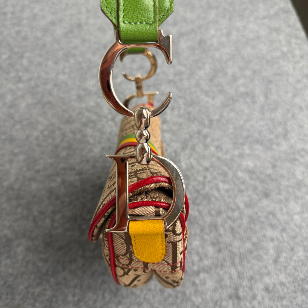 Dior Rasta Saddle taske