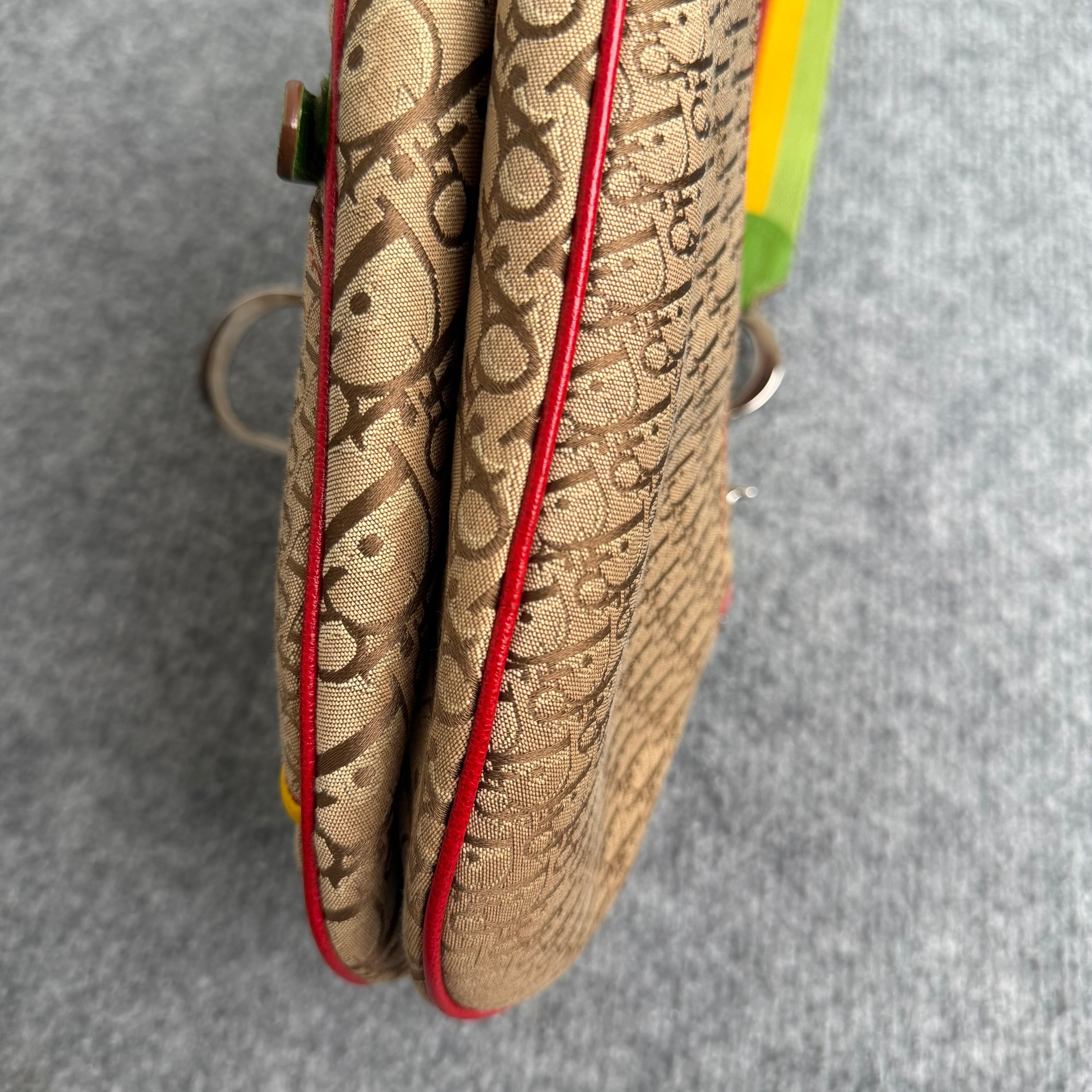 Dior Rasta Saddle taske