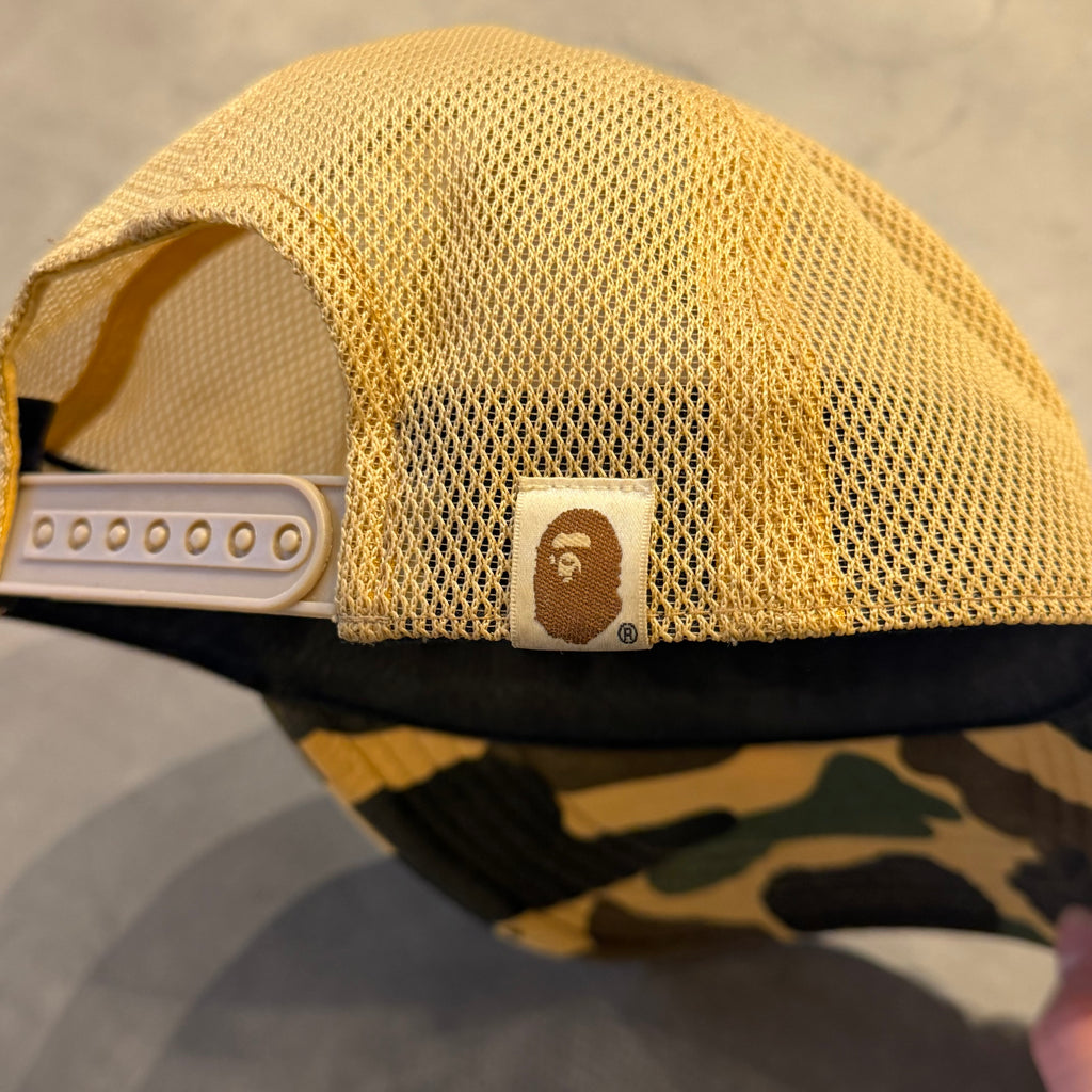 A bathing ape x stussy kasket